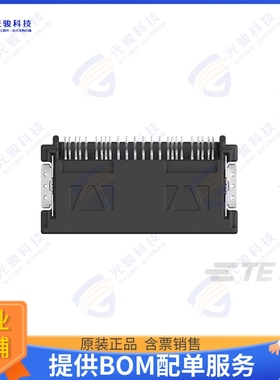 2013029-5 连接器0.50 SERIES 24POS CAP ASSY(SMT T