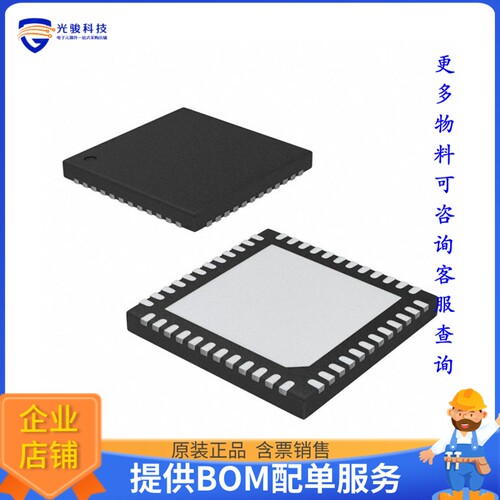 R5F51306BGNE#20微控器《IC MCU 32BIT 256KB FLASH 48WFQFN》