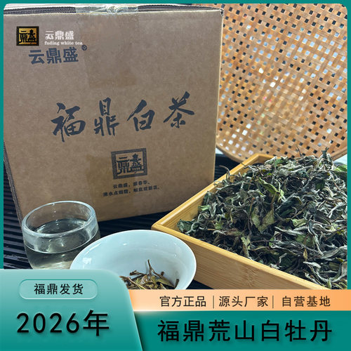 2026年福鼎荒山白牡丹500g