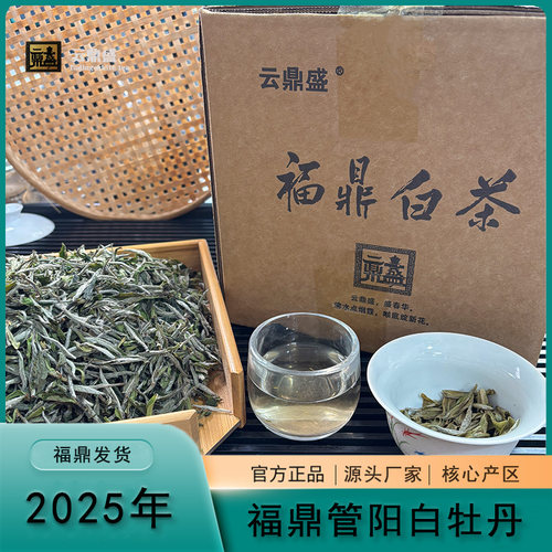 2025福鼎管阳白牡丹500g