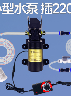 小型抽水泵自动启动水钻切割开孔打孔开槽机专用迷你220v12自吸泵