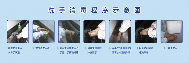 车间洗手消毒流程示意图海报 食品厂更衣程序宣传挂图画墙贴纸