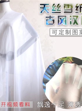 天丝超薄雪纺丝汉服裙子定制