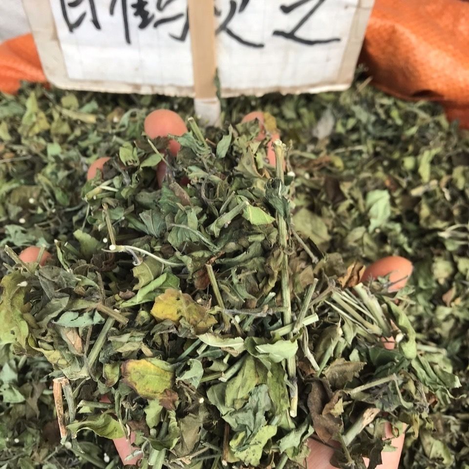 中药材白鹤灵芝 癣草 仙草 白鹤灵芝草