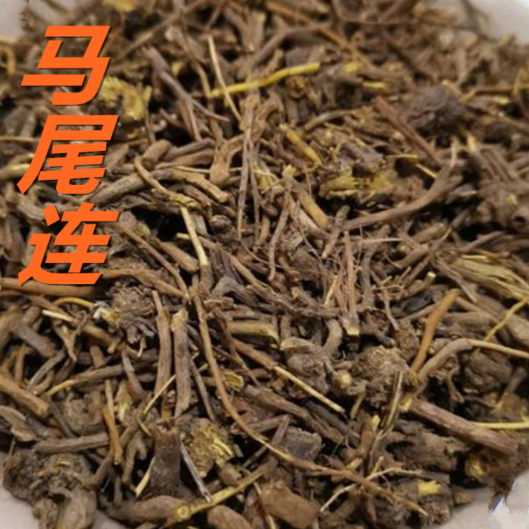 中药材 马尾连 马尾莲 马尾黄 草黄莲 唐松草 金丝黄连 500克包邮