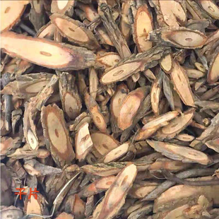 勾吻断肠草大茶藤外用胡蔓藤兽类猪饲料