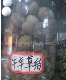 中药材牛羊草结 羊草结 西格格 羊胲子 百草丹 草结 羊哀500克