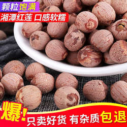 红莲子带芯大颗粒湘潭湘莲干货新货湖南特产粉糯红皮莲子500g包邮