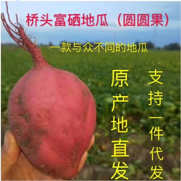 海南澄迈桥头富硒地瓜5斤装