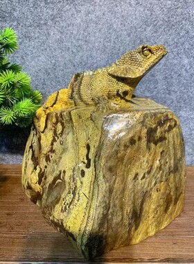 天然奇石国画石手工雕刻蜥蜴