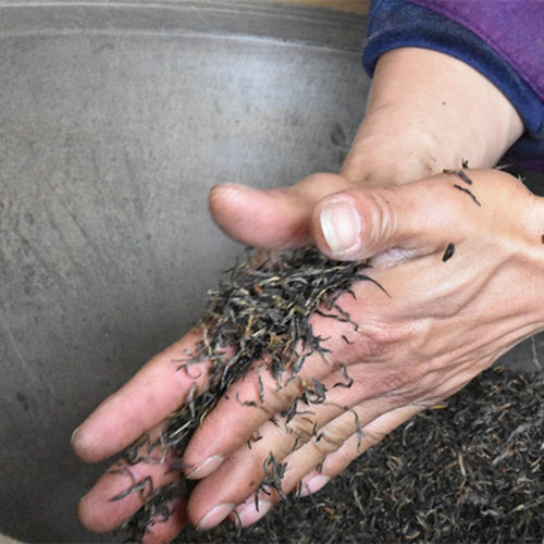 花果香手工祁门红茶核心产区