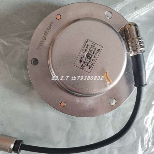 Werne&Thiel FS1-30-G80-X-K-I4/1E湿度探头