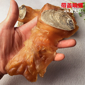4头超大超厚带盖响螺片美螺片水产干货煲汤煲粥肉香味甜稀少靓货