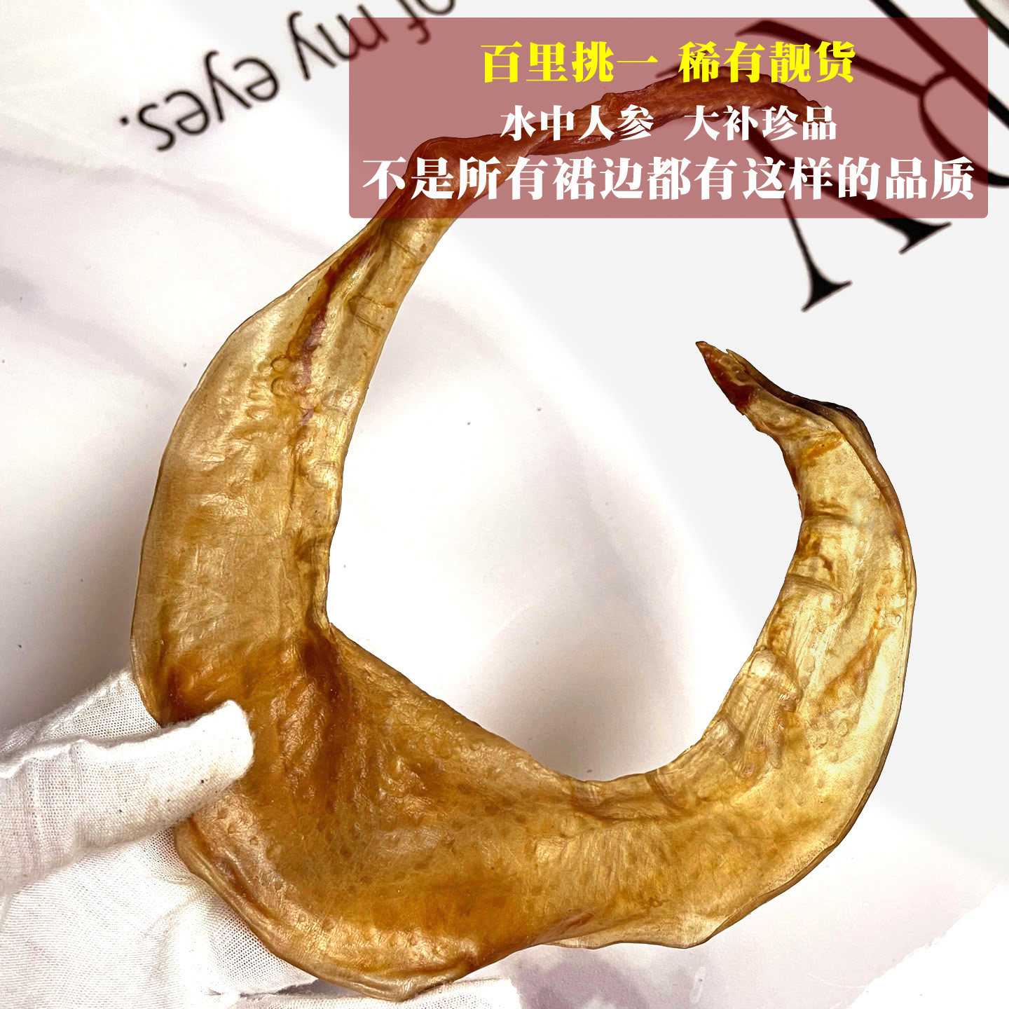 天然大号甲鱼裙边干货团鱼水鱼唇边鳖裙煲汤炒焖佛跳墙100-15头