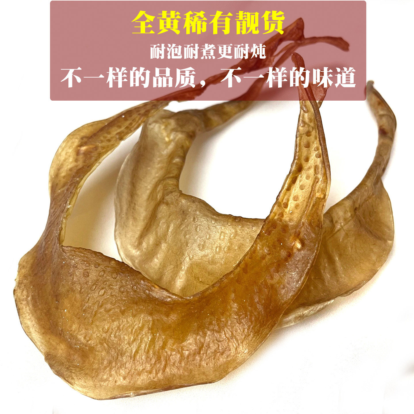 黄金甲靓货甲鱼裙边水鱼团鱼唇边鳖裙干货炒焖纯天然营养100-15头
