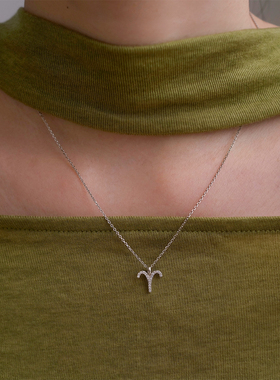 「守护神」susu十二星座S925纯银能量项链锆石精致毛衣链礼物闺蜜