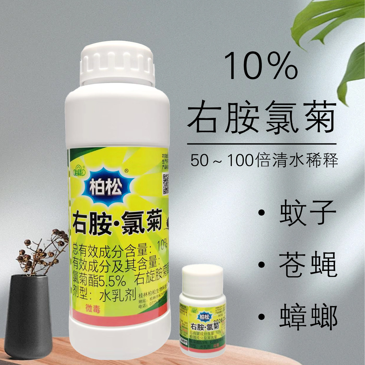 柏松10%右胺·氯菊蚊蝇净蚊子苍蝇药杀虫剂水乳剂蟑螂杀虫剂图片