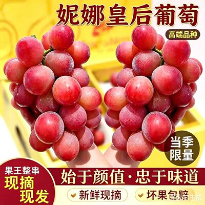 正宗妮娜皇后葡萄女皇鲜果新鲜当季整串冷链生鲜整箱可礼盒送礼