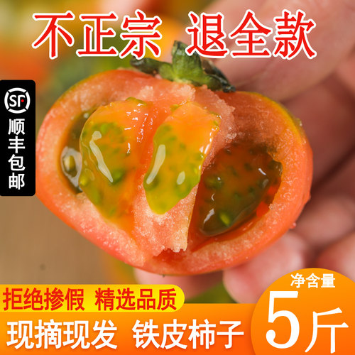 铁皮西红柿现摘现发顺丰包邮