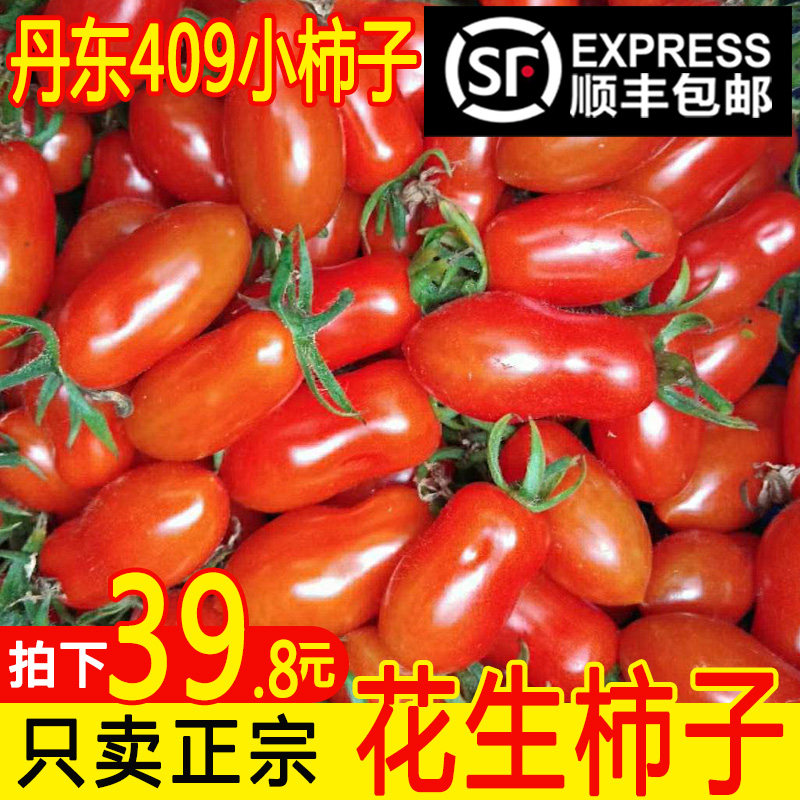 丹东409花生小柿子非千禧圣女果孕妇新鲜自然熟水果花生小番茄5斤