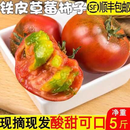 丹东草莓西红柿5斤铁皮柿子新鲜番茄自然熟盘锦碱地生吃水果柿子