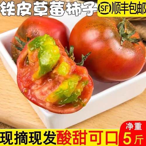 铁皮柿子铁皮柿子西红柿顺丰包邮