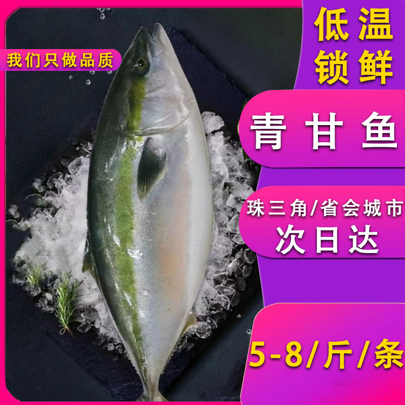 新鲜青甘鱼生冻黄尾狮鱼刺身海鱼日料寿司食材供应海鲜水产鱼类