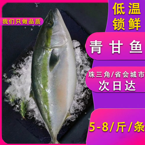 新鲜青甘鱼生冻黄尾狮鱼刺身
