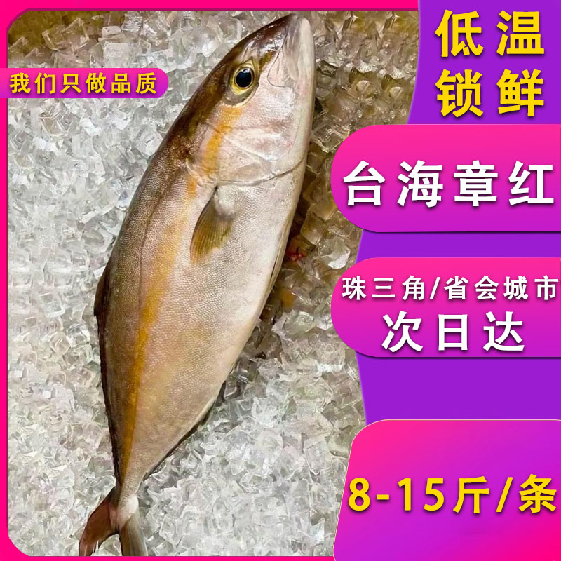 新鲜台海章红鱼红甘鱼油柑鱼刺身料理寿司海鲜水产鱼类供应整条