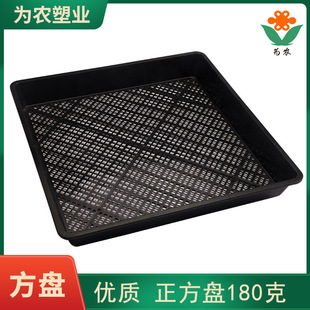 [为农塑业]塑料托架 育芽菜 多肉育苗托盘 PP平底育苗盘 花盆运转