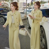 两件套 气质减龄立领外套直筒阔腿裤 简约小香风休闲套装 女春秋新款