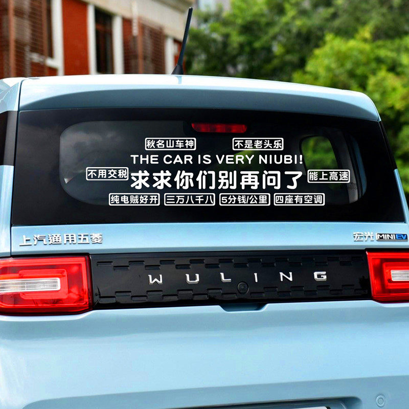 适用于五菱宏光mini ev汽车贴纸求求你们别再问了抖音网红后玻璃