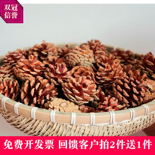 包邮圣诞装饰麦穗diy材料松果