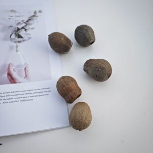 【咕嘟果】进口植物干花果实森系干花环门环相框材料圣诞树装饰品