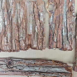 杉树皮手工创意原材干树壳拍摄背景道具拍照场景园艺装饰杉皮包邮