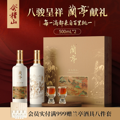 会稽山绍兴黄酒兰亭 金马载福黄酒礼盒500mL*2高档20年陈高档送礼