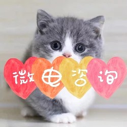 绝育服务