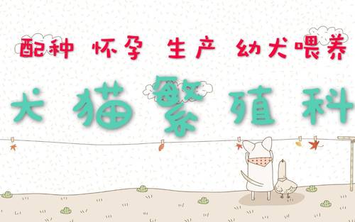 宠物医生在线咨询犬猫繁殖科配种怀孕生产幼宠喂养兽医