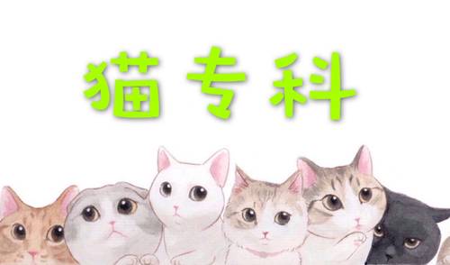 绝育服务