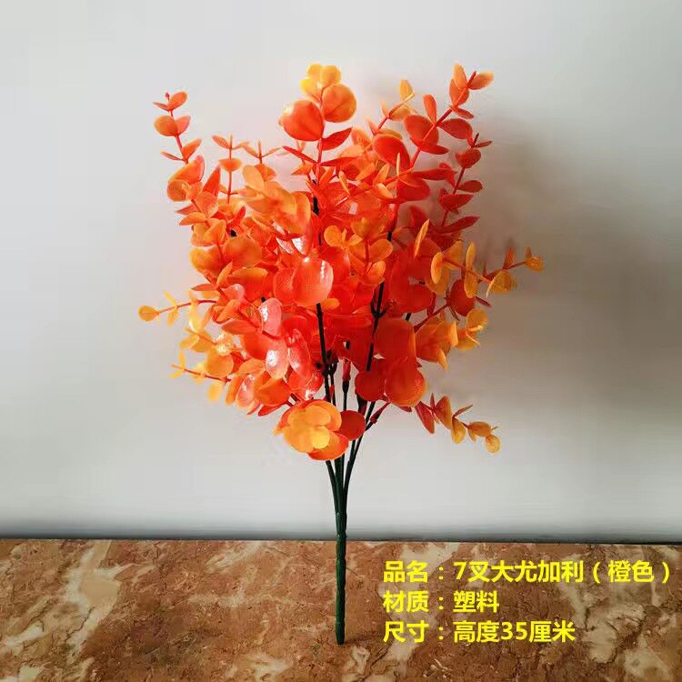 大尤加利插花盆栽广东尤加利单支图片