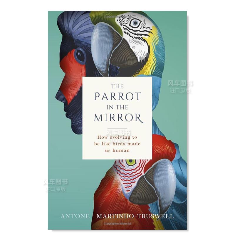 【预 售】镜子里的鹦鹉：学习如何进化为鸟儿使我们人 The Parrot in the Mirror : How evolving to be like birds made us human 书籍/杂志/报纸 科普读物/自然科学/技术类原版书 原图主图