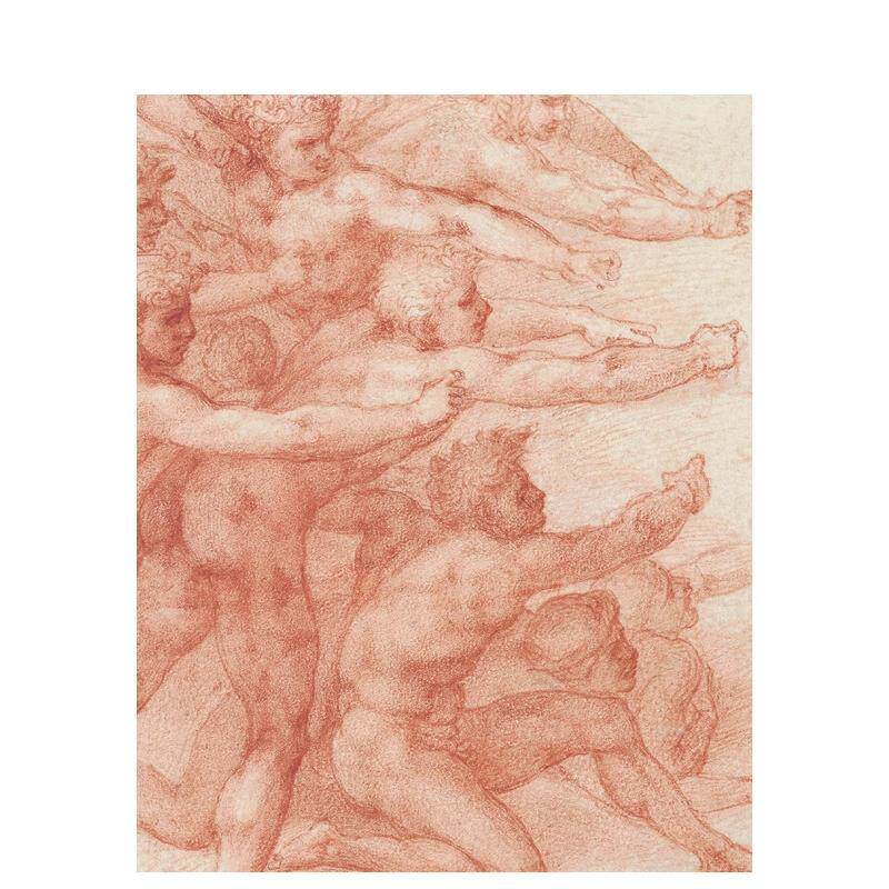 【现货】米开朗基罗：神的绘图师和设计师 Michelangelo: Divine Draftsman and Designer 原版英文艺术画册画集 进口图书