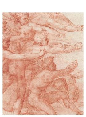 【现货】米开朗基罗：神的绘图师和设计师 Michelangelo: Divine Draftsman and Designer 原版英文艺术画册画集 进口图书