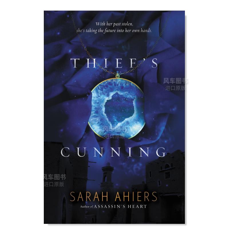 窃贼的狡猾Thief’sCunning英