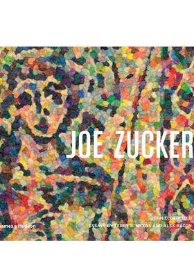 【现货】乔·扎克 Joe Zucker 原版英文艺术画册画集 进口图书