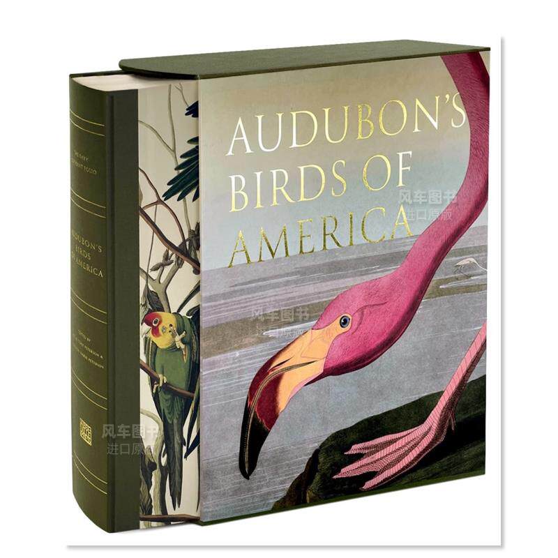 【预售】奥杜邦的美洲鸟 AUDUBON'S BIRDS OF AMERICA英文插画原画设定集原版图书外版进口书籍 PETERSON, PETERSON Abbeville Pr
