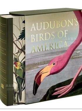 【预售】奥杜邦的美洲鸟 AUDUBON'S BIRDS OF AMERICA英文插画原画设定集原版图书外版进口书籍 PETERSON, PETERSON Abbeville Pr