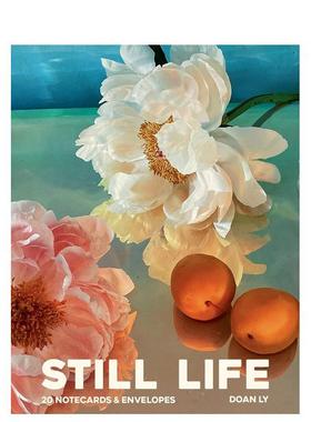 【预售】静静生活 20张明信片及信封 Still Life Notecards : 20 Notecards and Envelopes 原版明信片