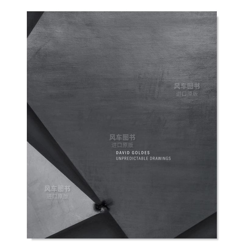 【预售】不可预测的图画 David Goldes: Unpredictable Drawings 英文艺术家 工作室 原版图书外版进口书籍 David Goldes, Pavel