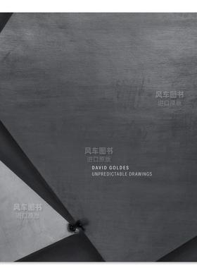 【预售】不可预测的图画 David Goldes: Unpredictable Drawings 英文艺术家 工作室 原版图书外版进口书籍 David Goldes, Pavel